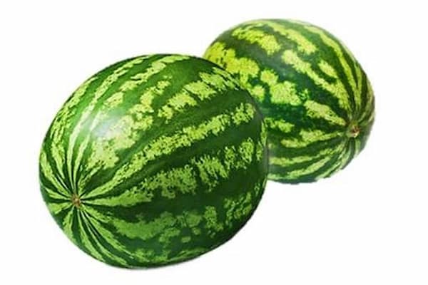 تصویر 3 از قیمت هندوانه گرد خطی با کیفیت ارزان + خرید عمده